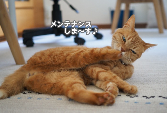 7日夜ブログ４