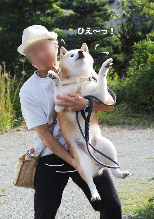 11日夕ブログ６