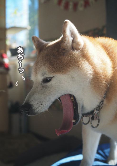 21日ブログ６