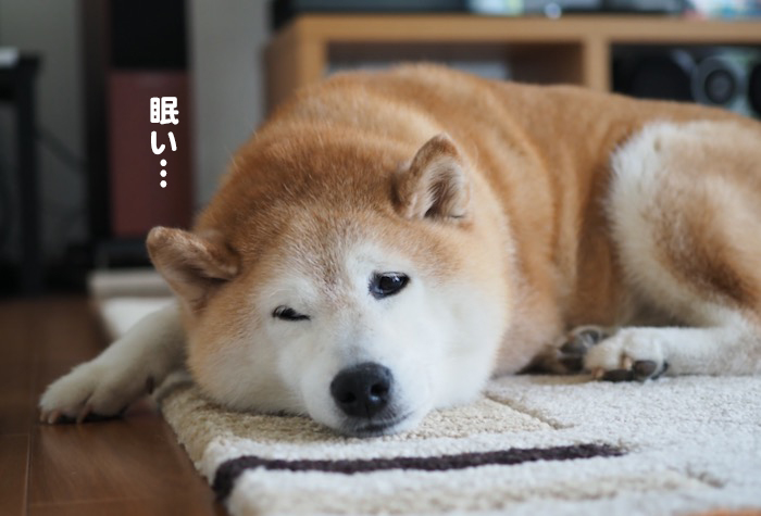 7日ブログ３