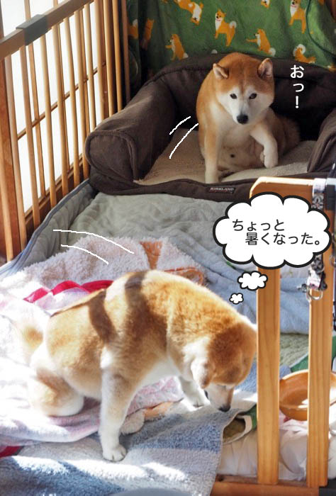 9日夜ブログ４