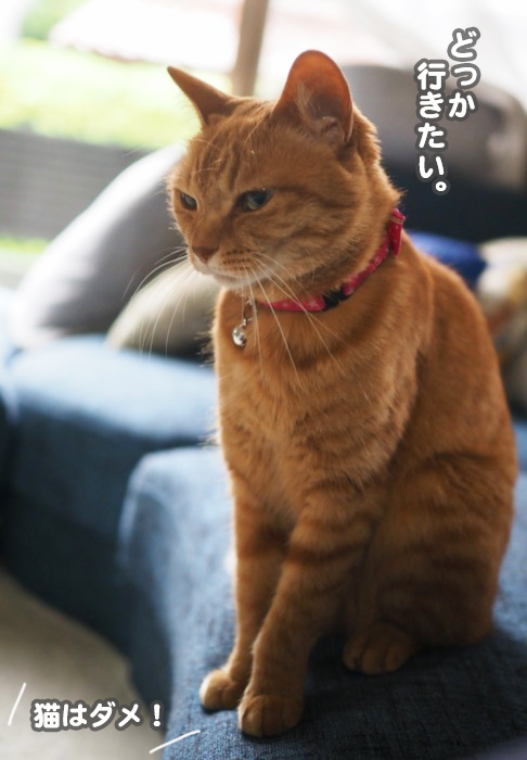 3日ブログ６