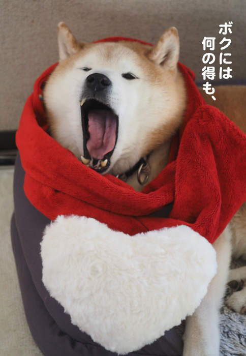14日ブログ３