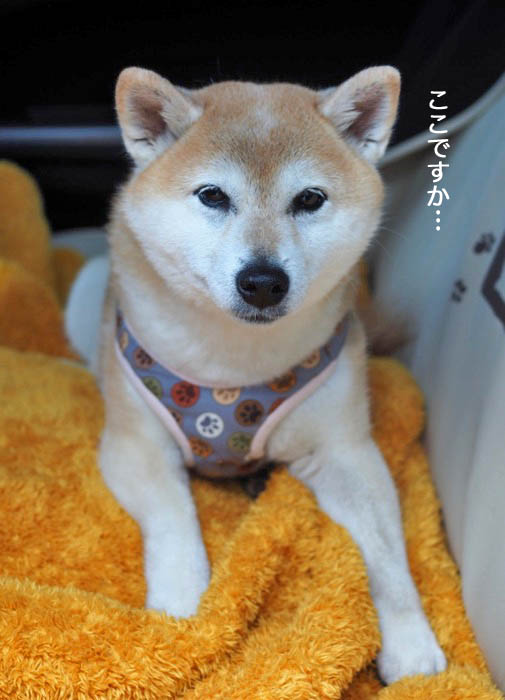 28日ブログ２