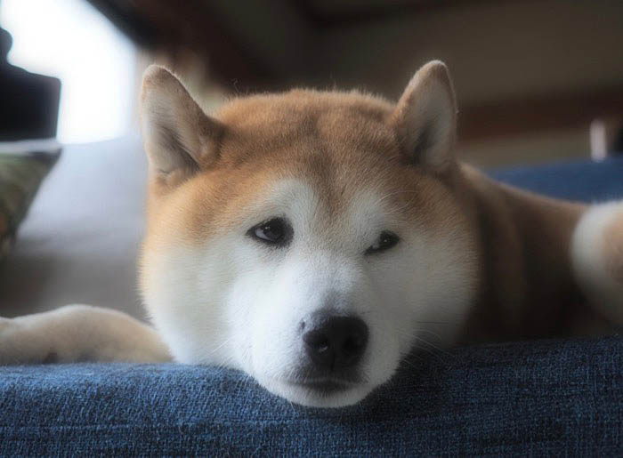 19日ブログ２