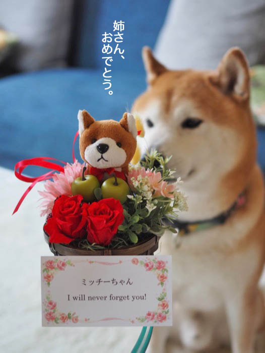 6日午前ブログ4