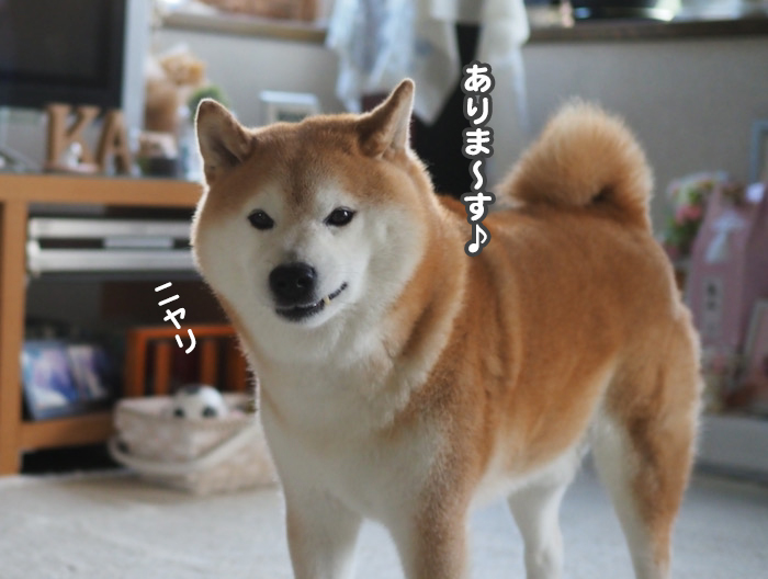 9日夜ブログ６