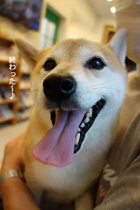 27日ブログ２