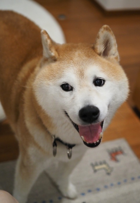 29日ブログ２
