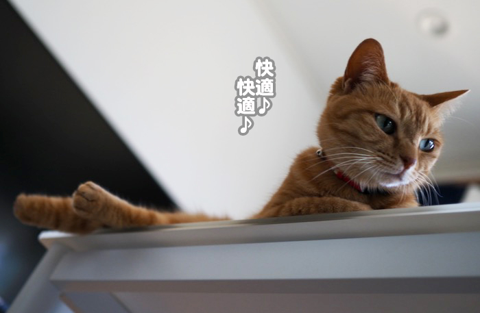 21日ブログ３