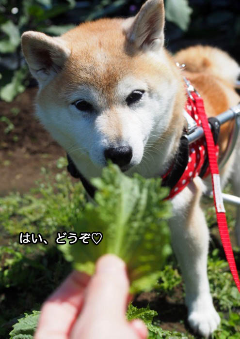 25日夜ブログ5