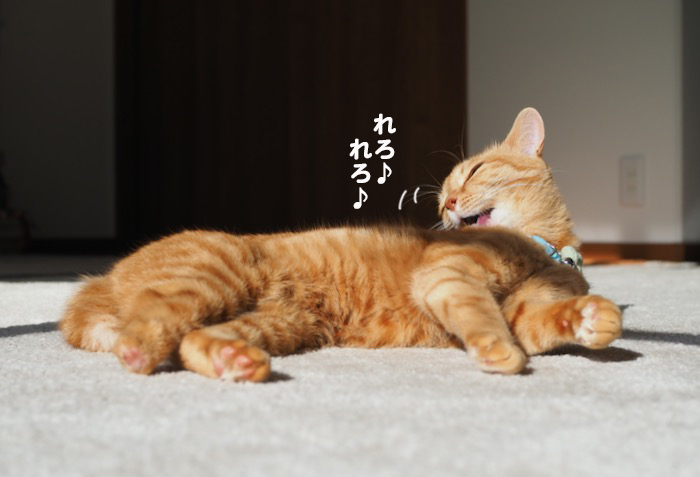 14日夕ブログ２