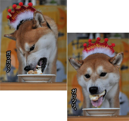 23日ブログ18.jpg