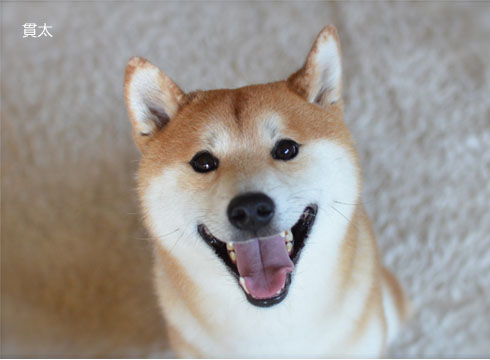 29日ブログ10.jpg