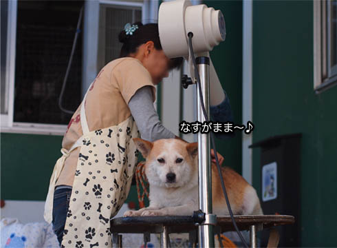 27日ブログ4.jpg