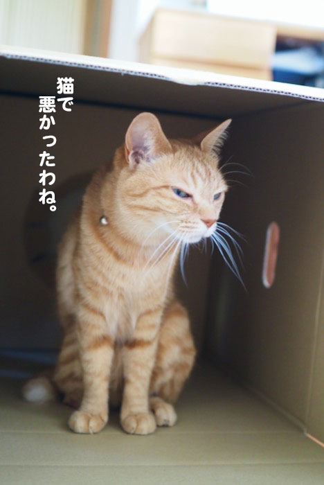 4日ブログ３