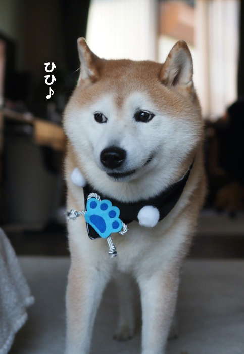 3日夕ブログ４