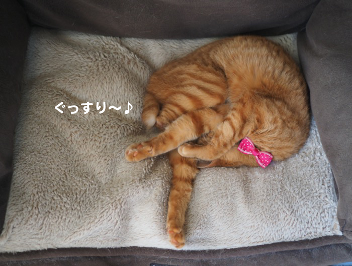 30日夕ブログ２