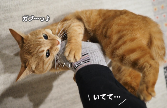 3日夕ブログ８