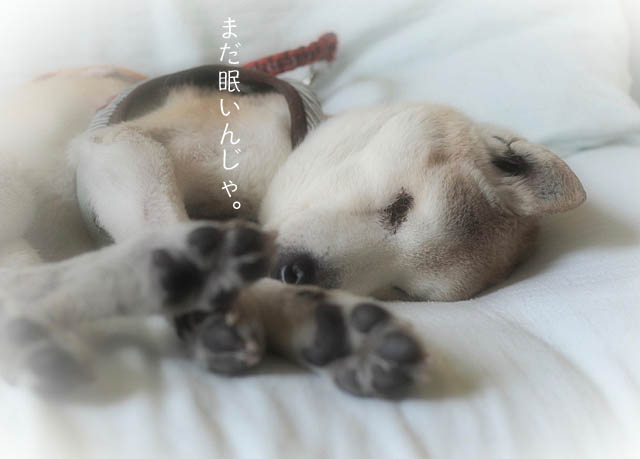 23日ブログ6