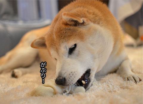 5日ブログ6.jpg