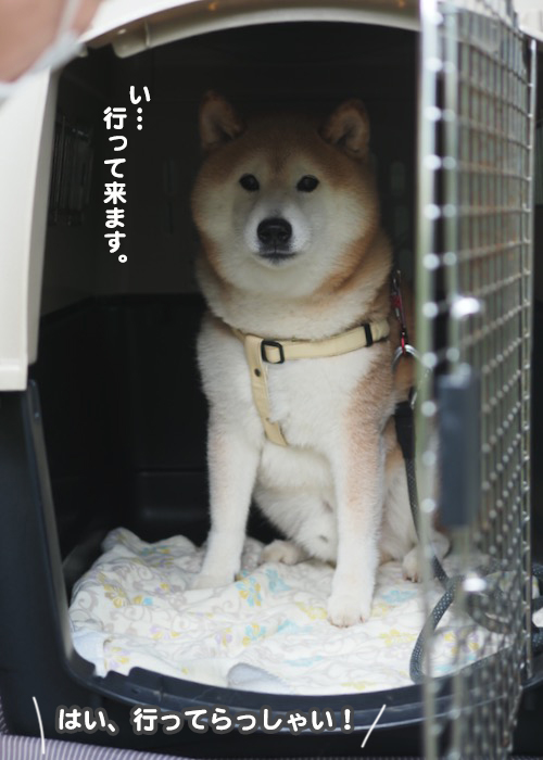 20日夕ブログ１０