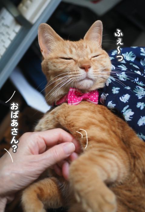 27日夕ブログ５