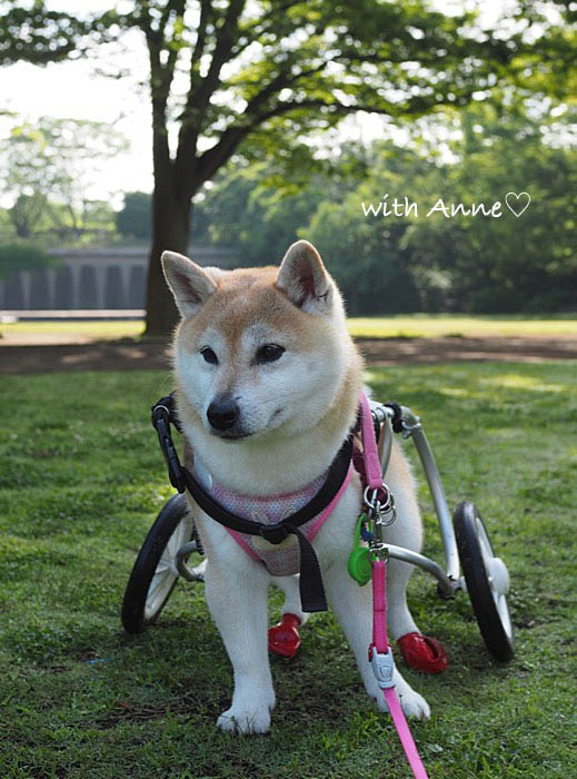 14日午後ブログ２