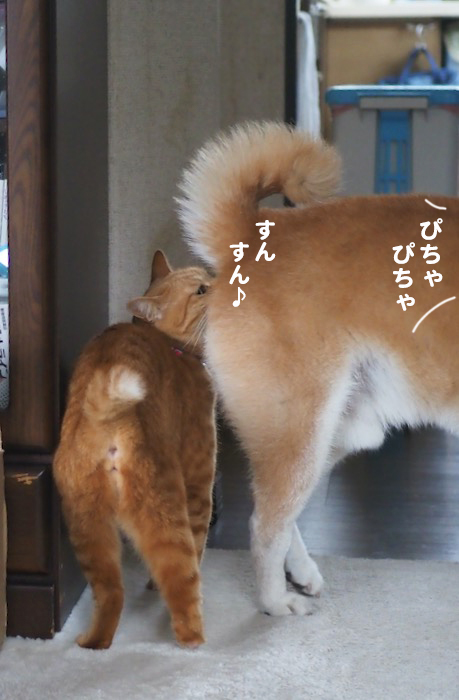 22日夕ブログ５