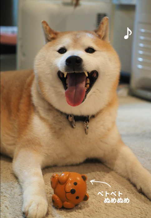21日ブログ２