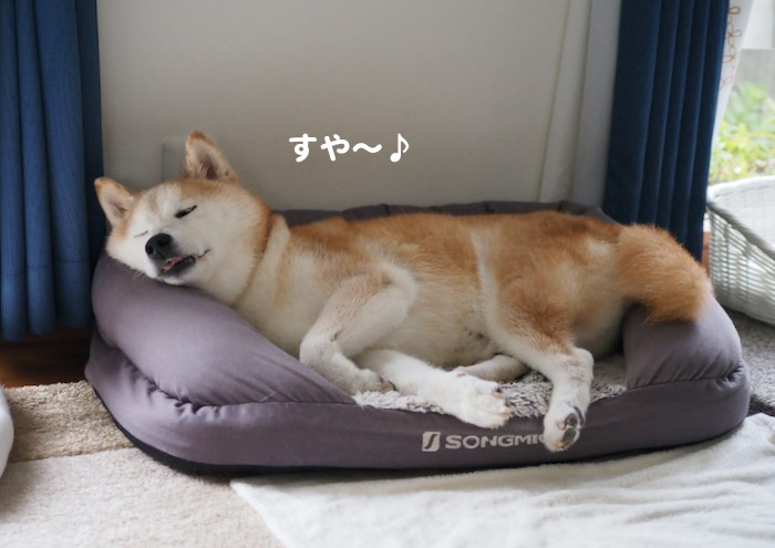 8日夕ブログ２