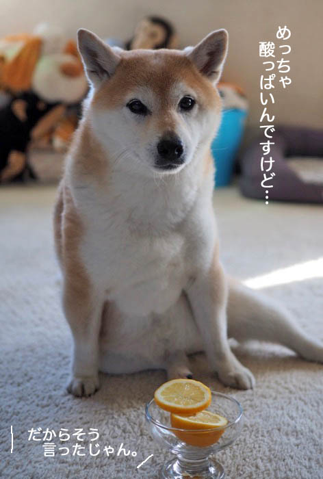 21日夜ブログ９