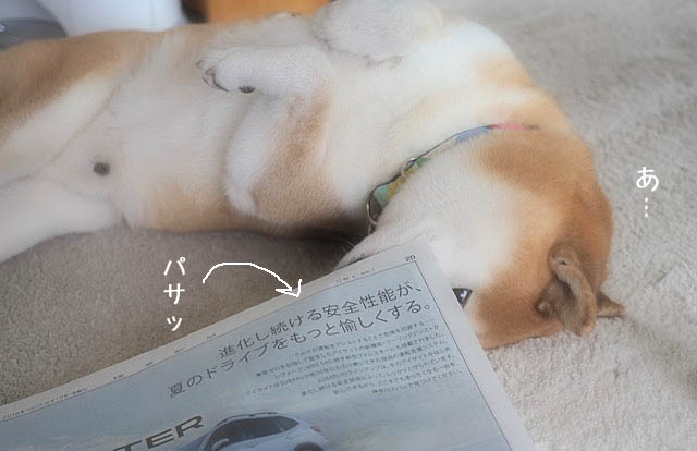 19日ブログ５