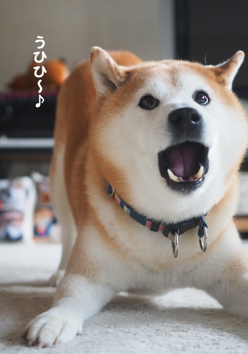 25日ブログ７