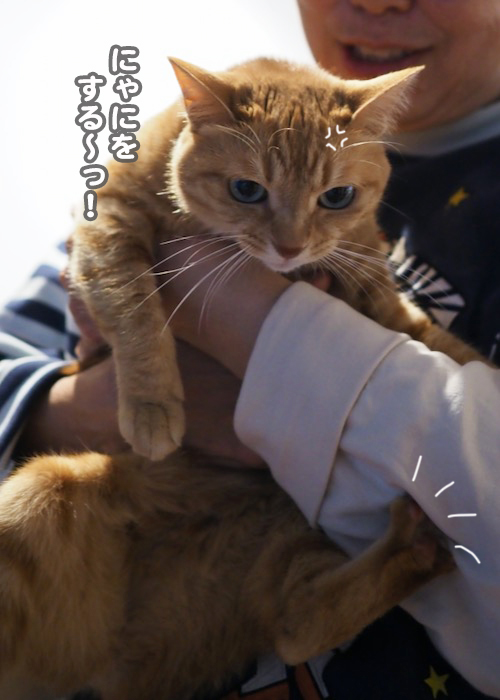 15日ブログ２