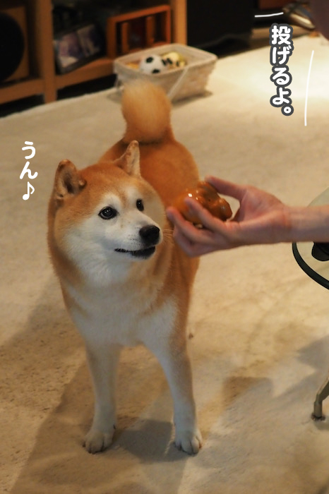 4日夜ブロ９