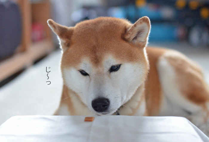 9日ブログ3