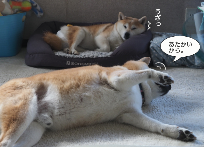 7日ブログ２