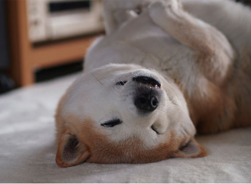 28日ブログ8.jpg