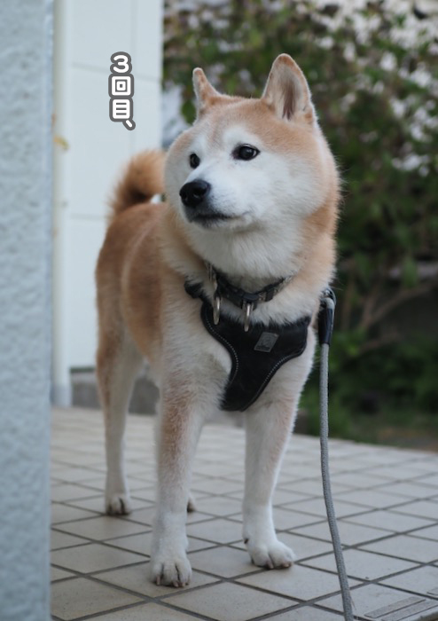 14日夕ブログ２
