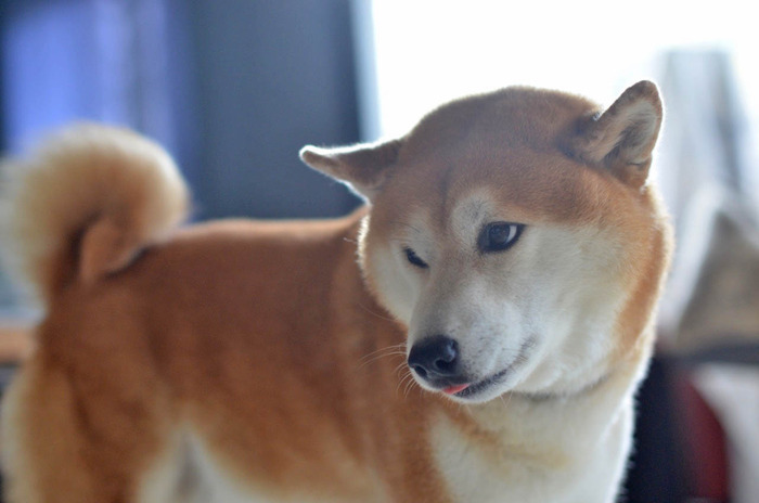 11日ブログ2