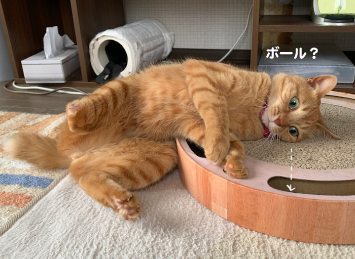 19日夕ブログ３