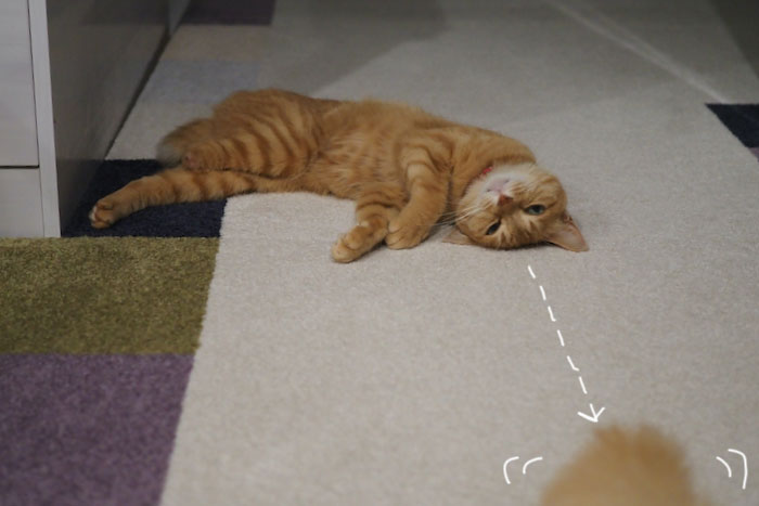 12日夕ブログ２