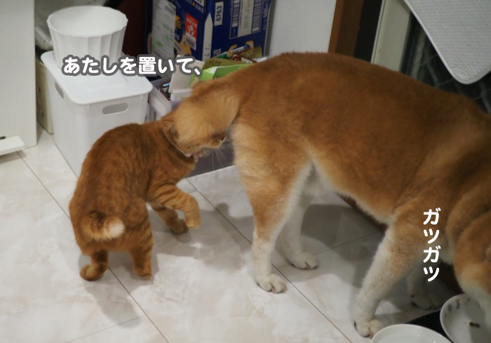 6日ブログ３