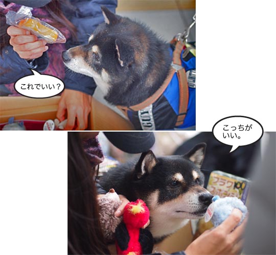 23日ブログ10.jpg