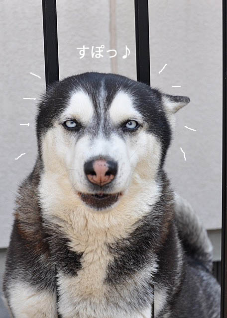 24日ブログ8