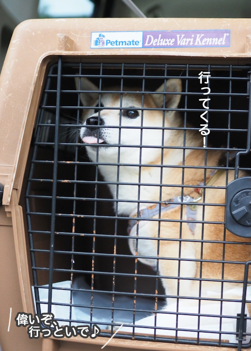 14日ブログ６