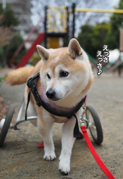 25日夕ブログ３