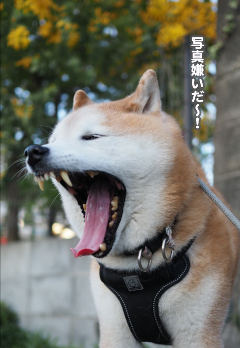 21日ブログ4