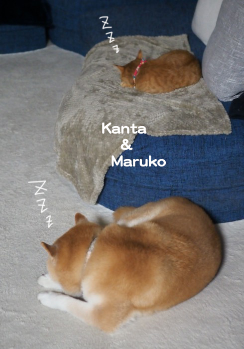 27日ブログ３